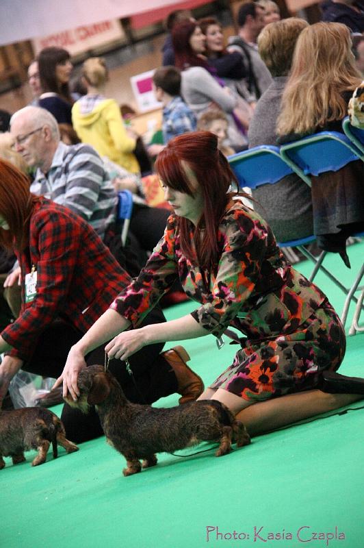 Crufts2011_2 1182.jpg